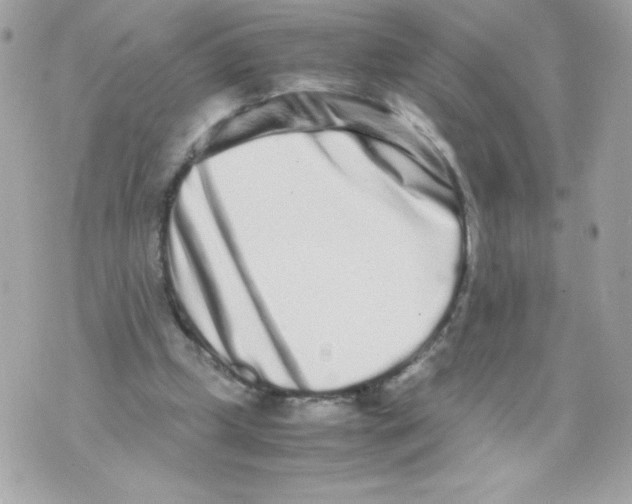 X0000070390249200607072226
