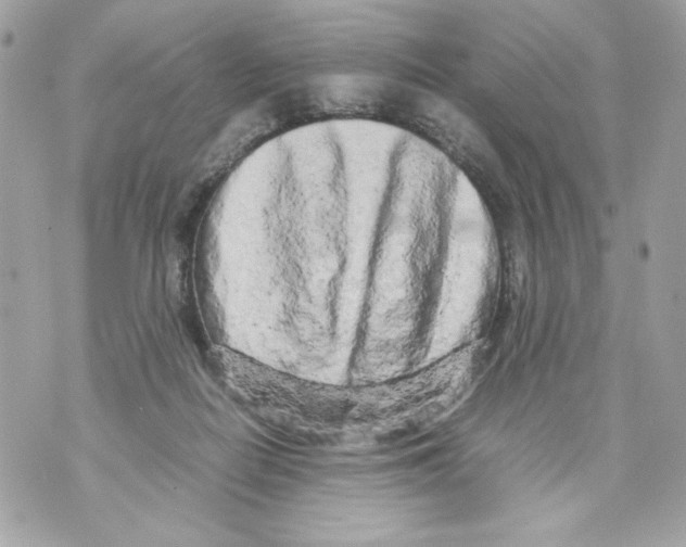 X0000070390266200607072226
