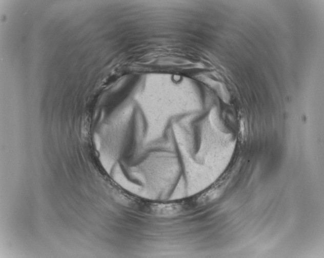 X0000070390277200607072227