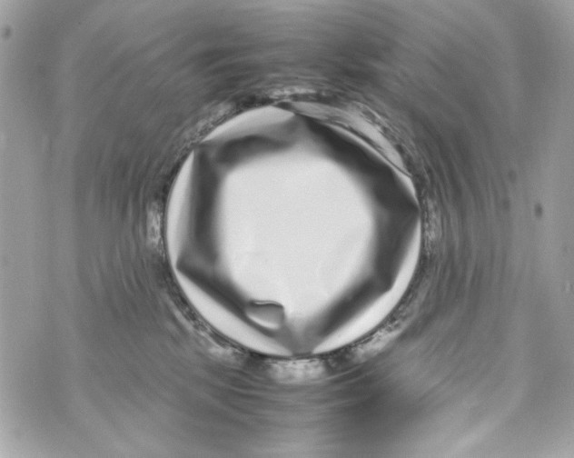 X0000070390281200607072227