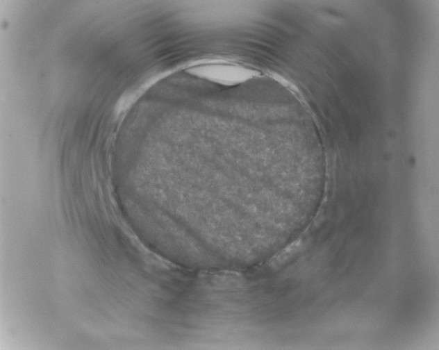 X0000070390337200607072224