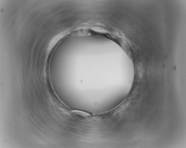 X0000070390340200607072224