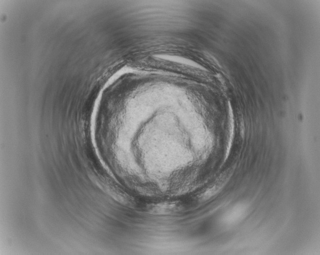 X0000070390366200607072225