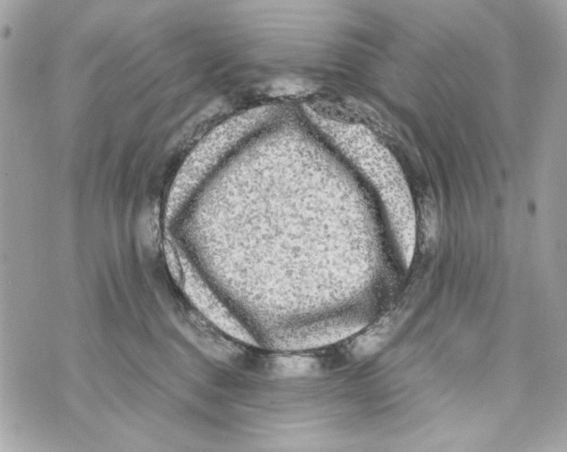 X0000070390376200607072225
