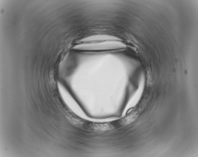 X0000070390377200607072225