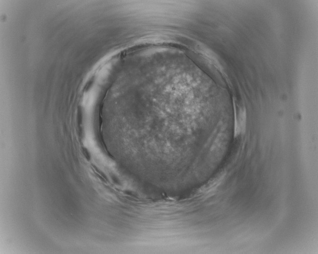 X0000070390387200607072224