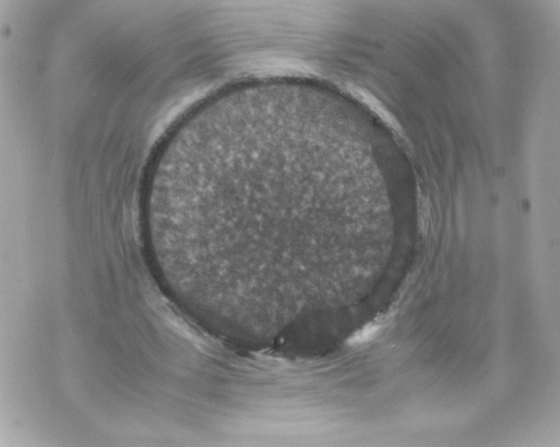 X0000070390391200607072224