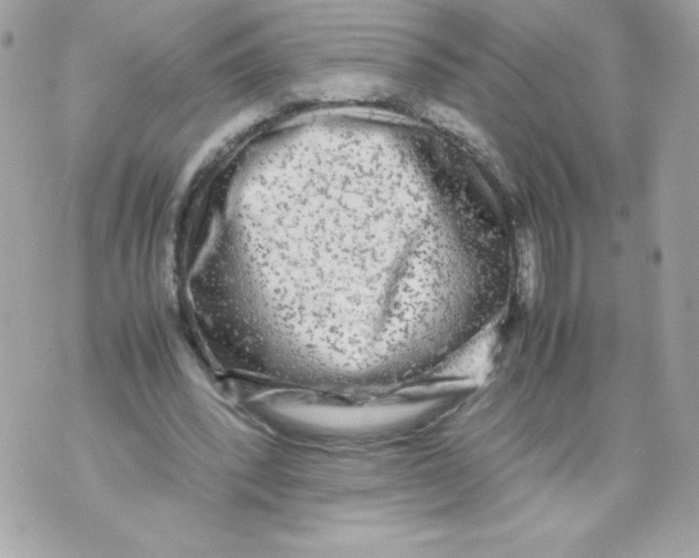 X0000070390392200607072224