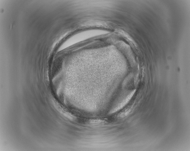 X0000070390399200607072224