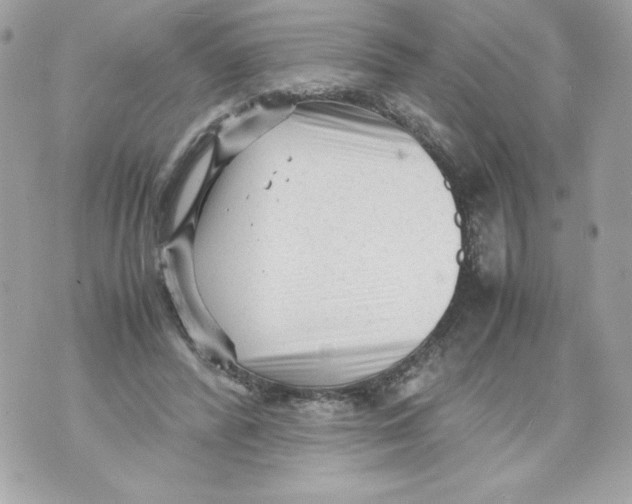 X0000070390400200607072224