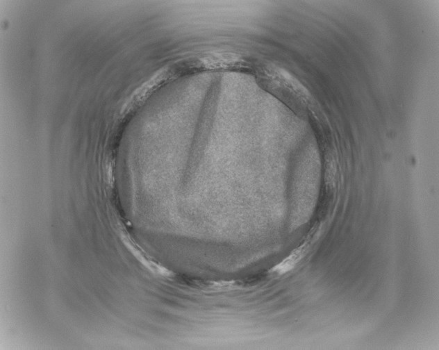 X0000070390405200607072224