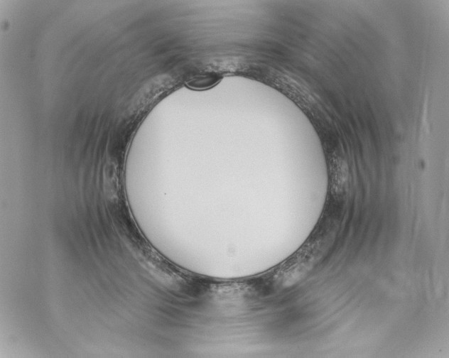 X0000070390414200607072224