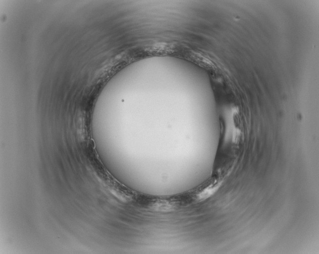 X0000070390416200607072224