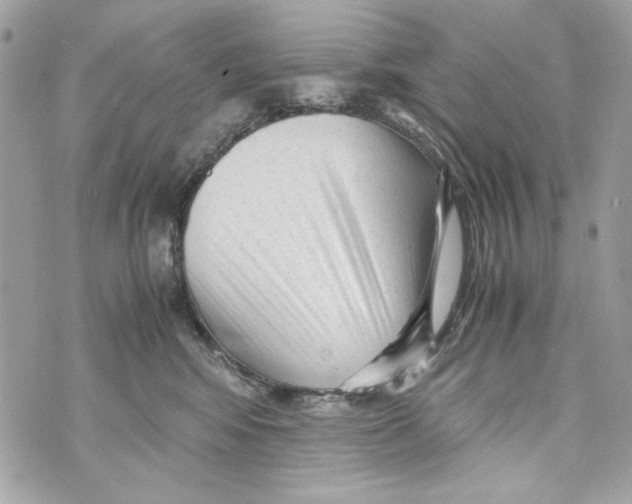 X0000070390424200607072224