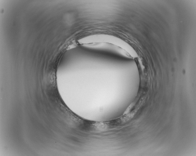 X0000070390425200607072224