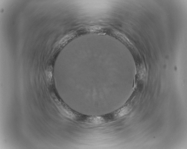 X0000070390427200607072224