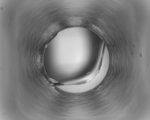 X0000070390428200607072224