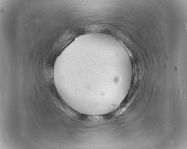 X0000070390429200607072224