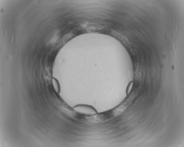 X0000070390430200607072224