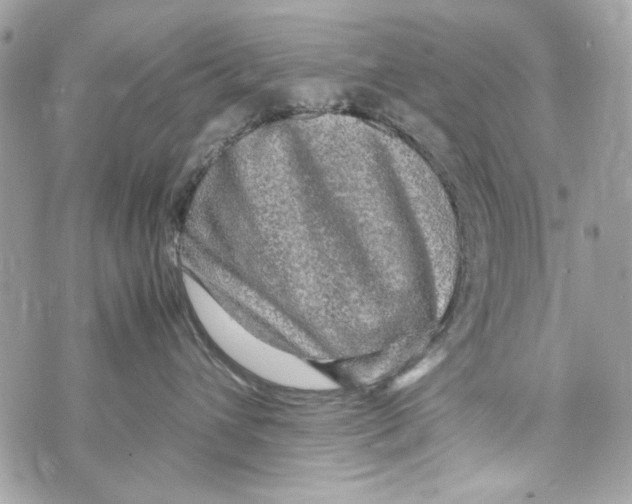 X0000070390432200607072224