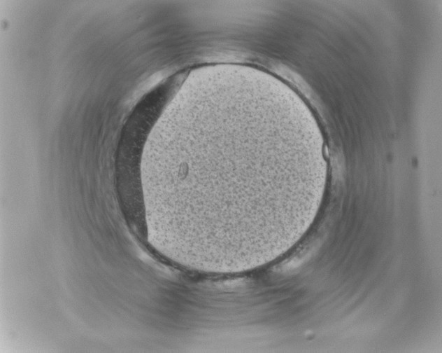 X0000070390433200607072223