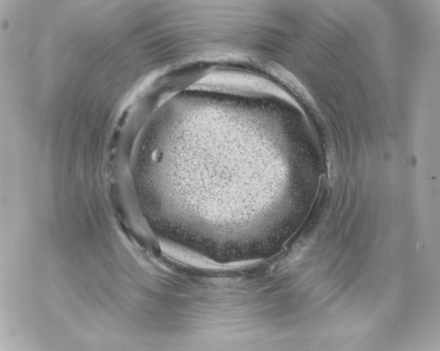 X0000070390436200607072223