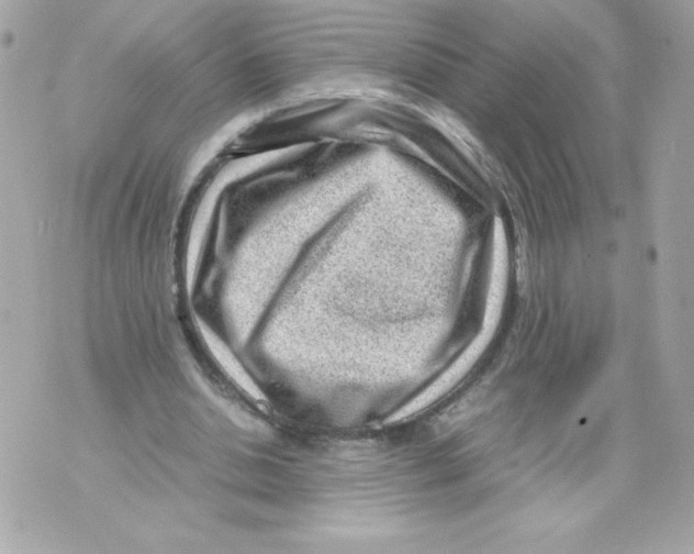 X0000070390438200607072223