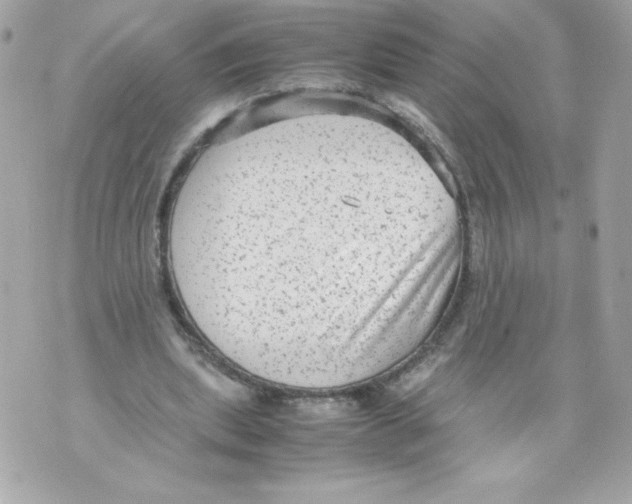 X0000070390439200607072223