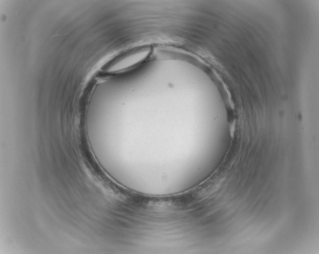 X0000070390440200607072223