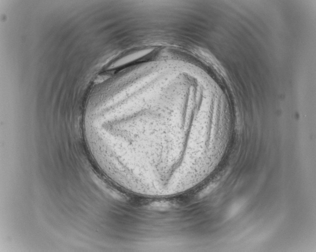 X0000070390441200607072223