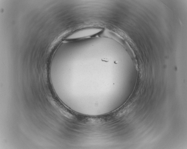 X0000070390442200607072223