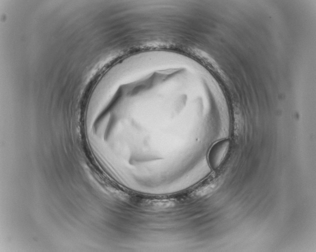 X0000070390443200607072223