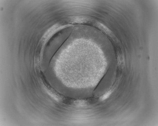 X0000070390444200607072223