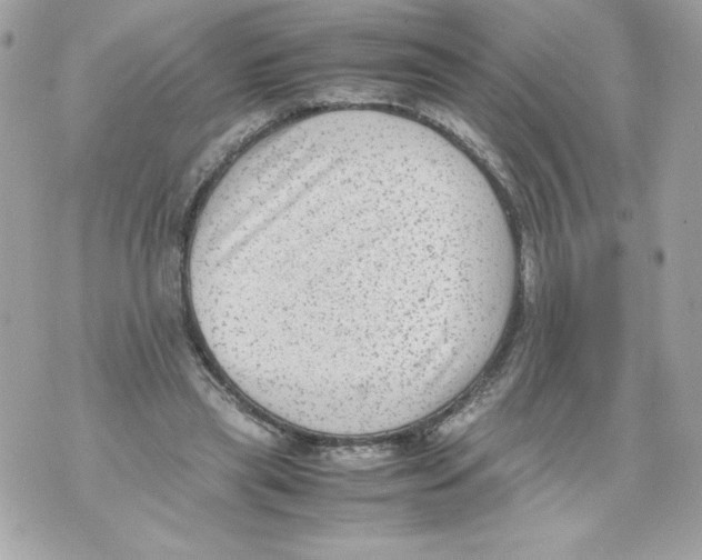 X0000070390445200607072223