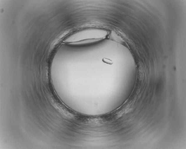 X0000070390446200607072223