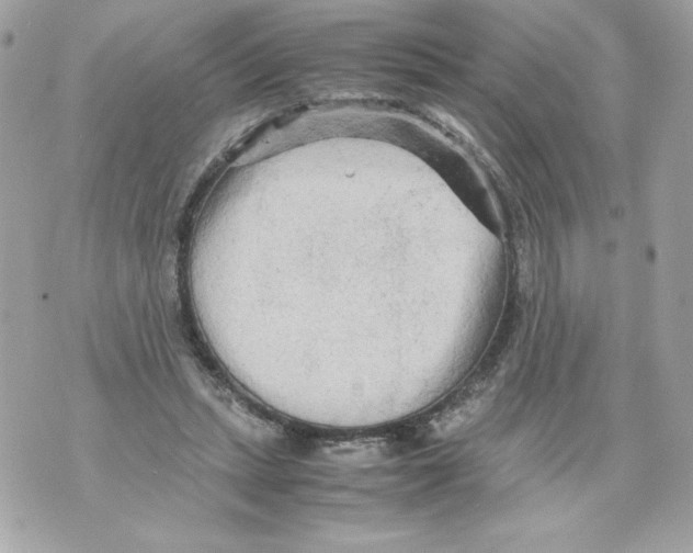 X0000070390447200607072223