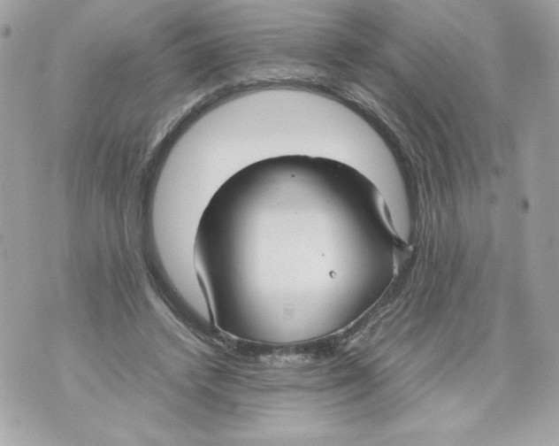 X0000070390448200607072223