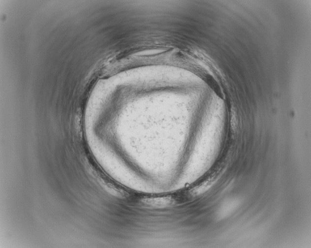 X0000070390449200607072223