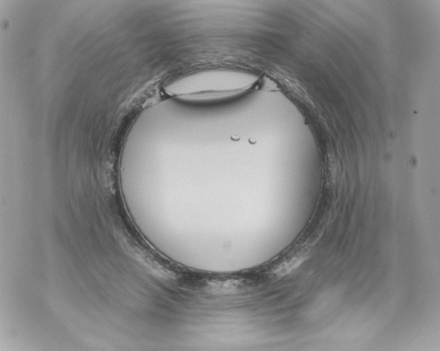 X0000070390450200607072223