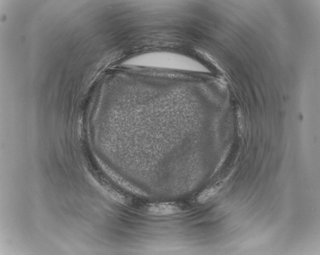 X0000070390451200607072223