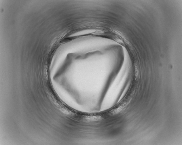 X0000070390453200607072223