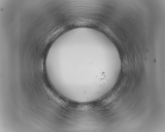 X0000070390454200607072223