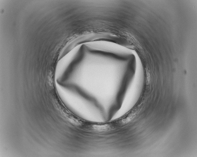 X0000070390457200607072223