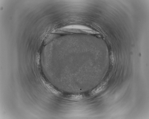 X0000070390458200607072223