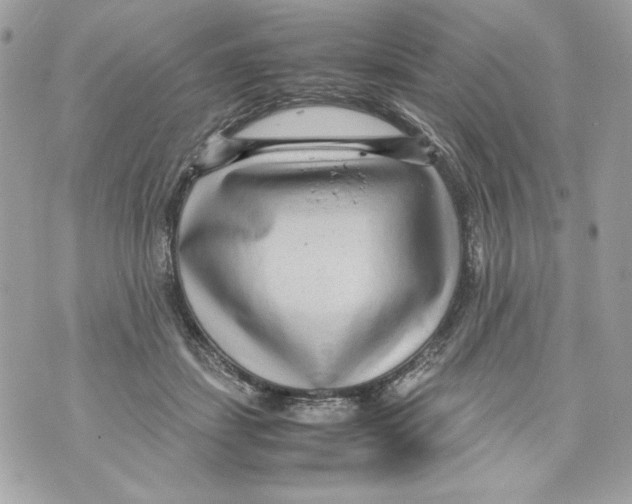 X0000070390459200607072223