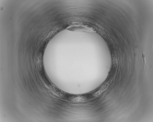 X0000070390460200607072223