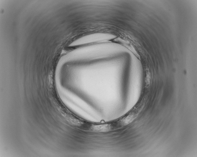 X0000070390461200607072223