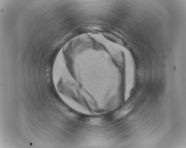 X0000070390462200607072223