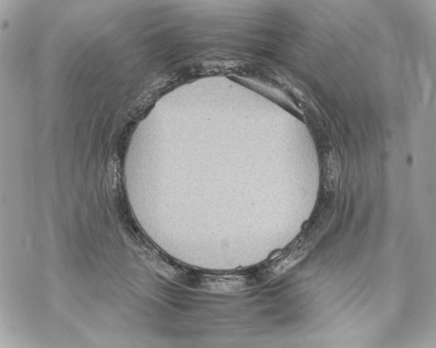 X0000070390463200607072223