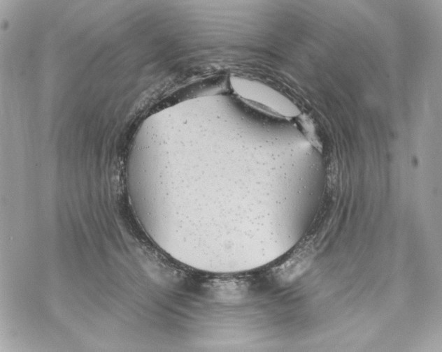 X0000070390464200607072223